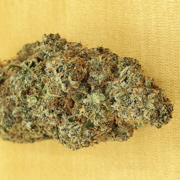 living soil cbd