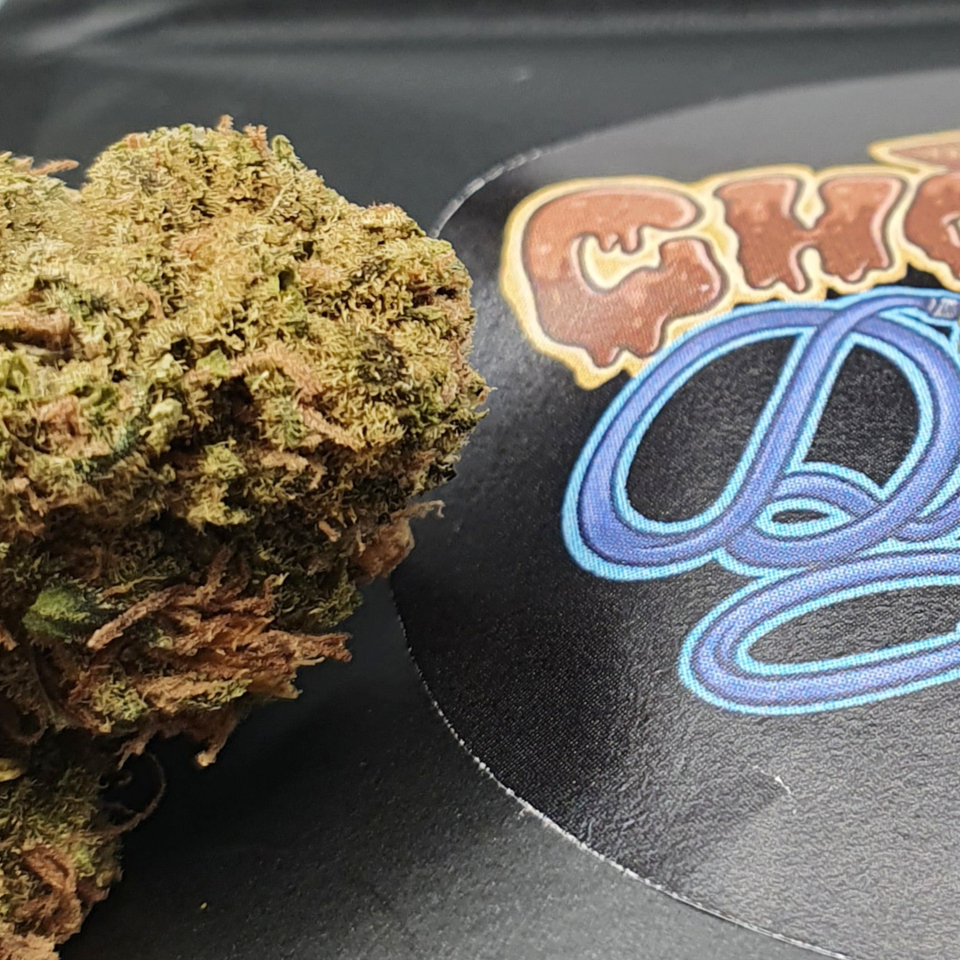 cbd chocolat
