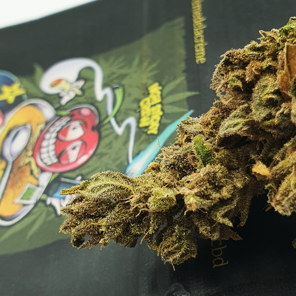 Cherry Crème Brûlée - Indoor 🥈 — Silver medal (2nd)