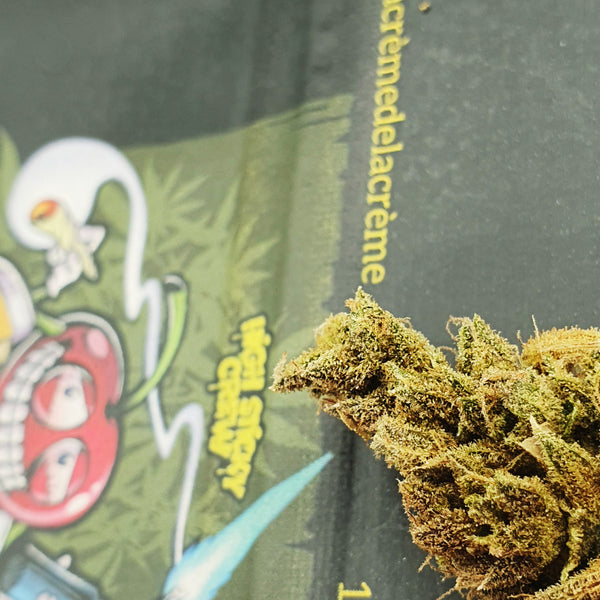 Cherry Crème Brûlée - Indoor 🥈 — Silver medal (2nd)