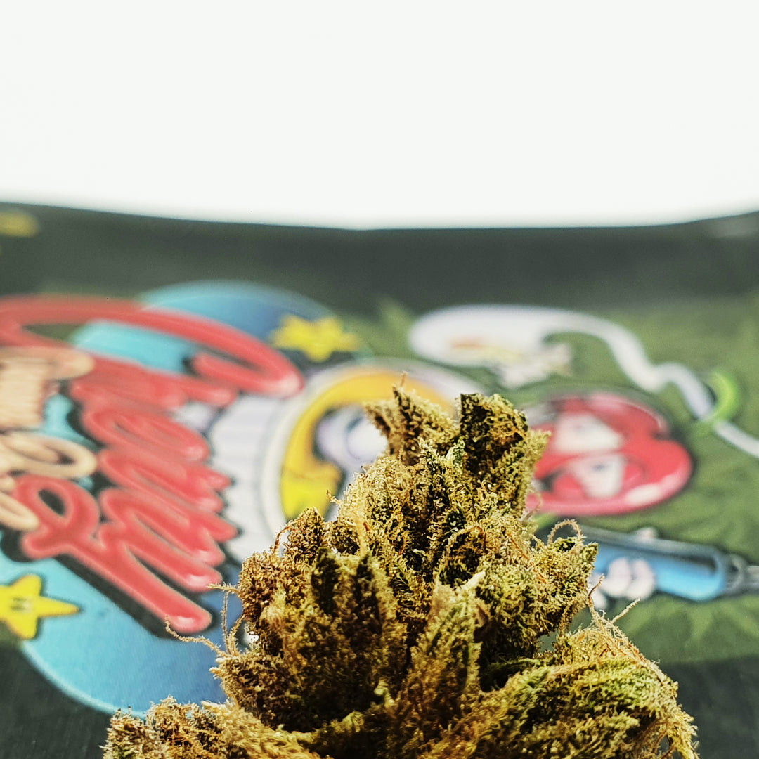 Cherry Crème Brûlée - Indoor