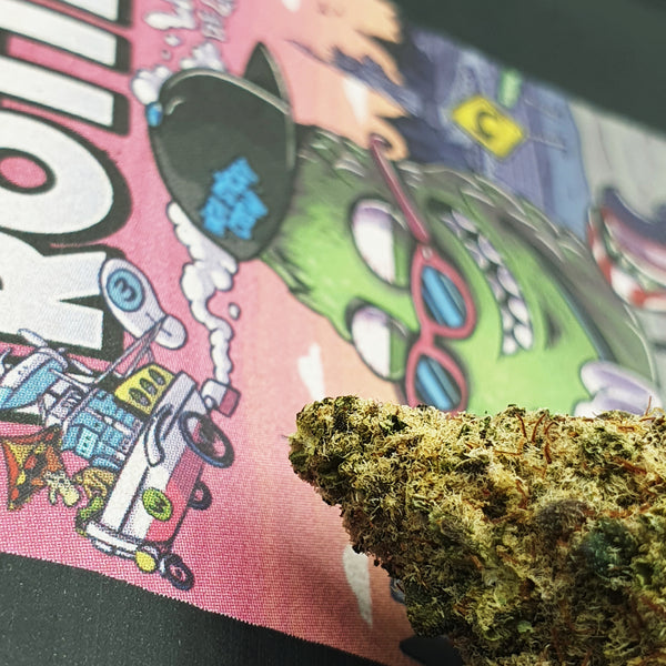 Globe Trotter - Indoor