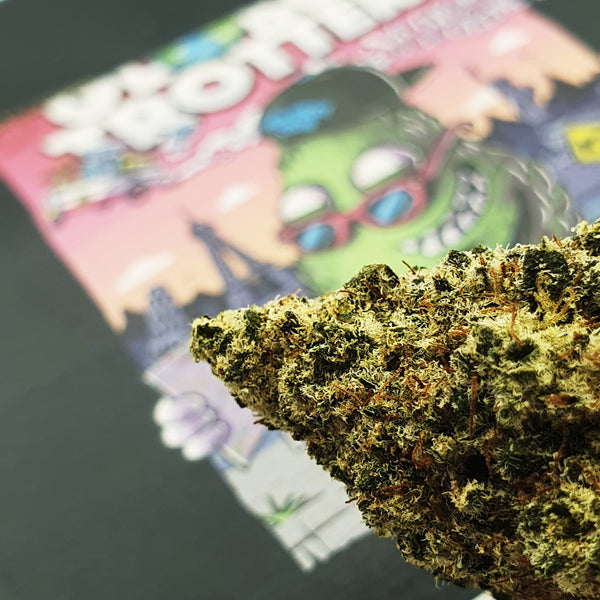 Globe Trotter - Indoor