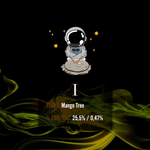 #1 Mango Tree "V2" "2st grade"