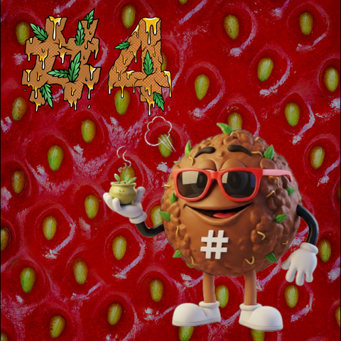 New! #4 Strawberry "1st grade"