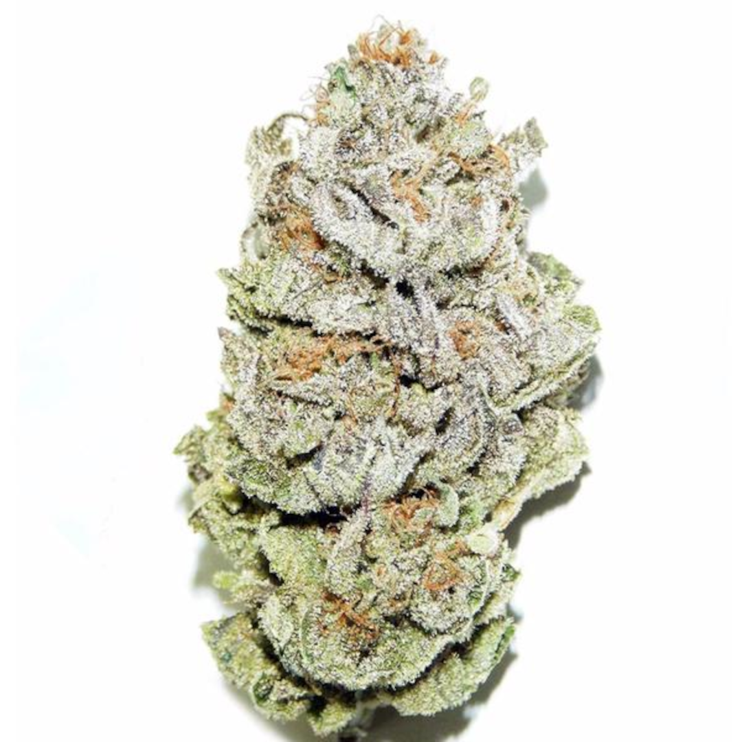 cannabis graines