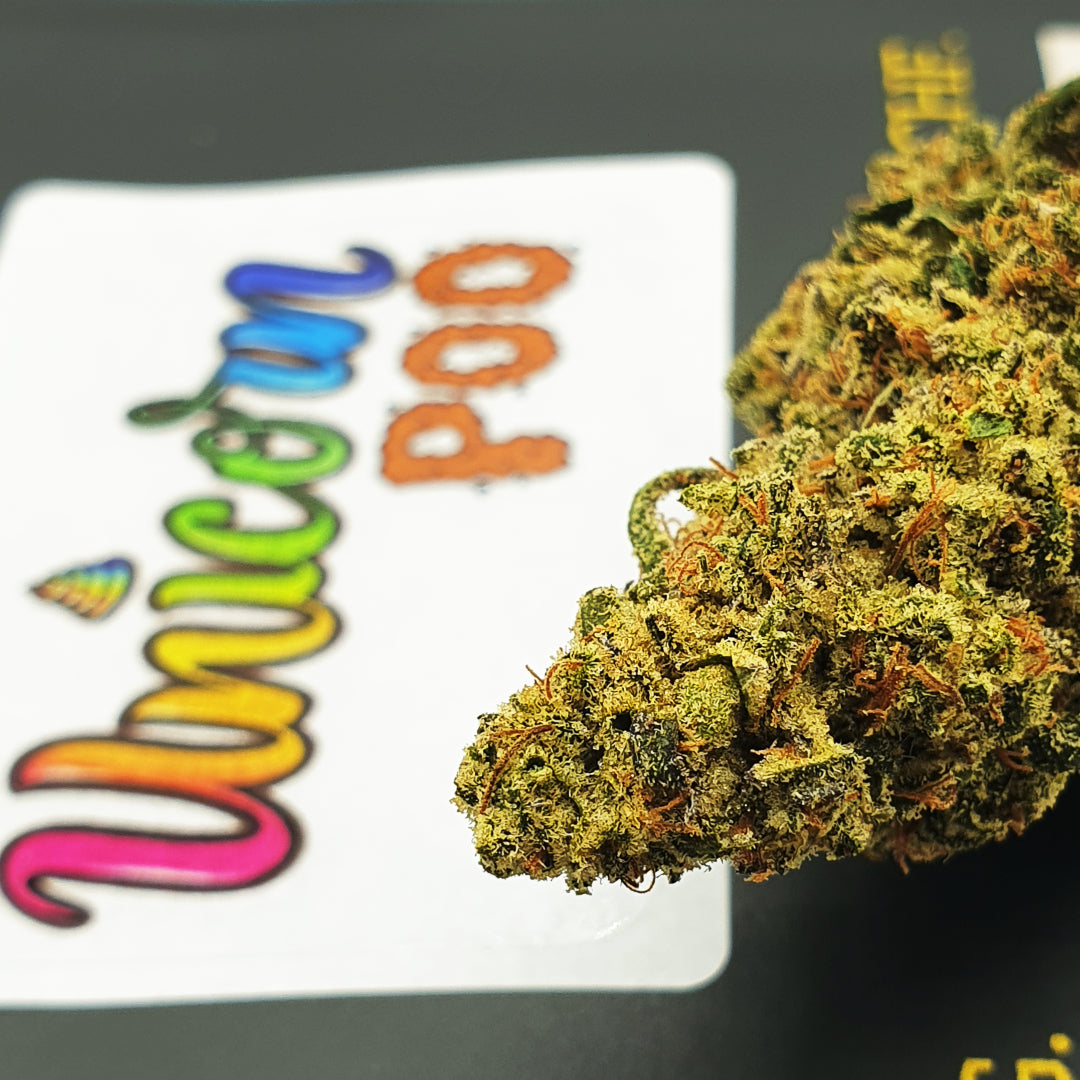 Unicorn Poo - Indoor