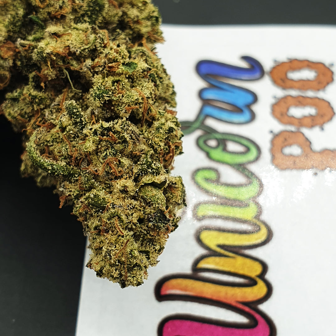 Unicorn Poo - Indoor