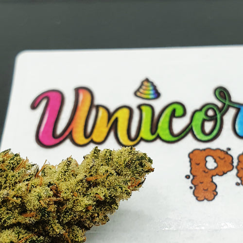 Unicorn Poo - Indoor