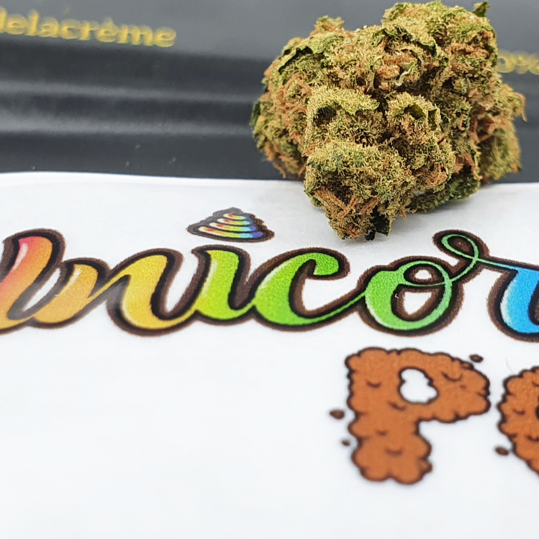 unicorn